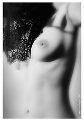 photo "Untitled photo"