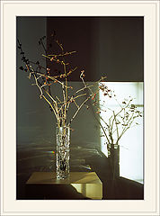 photo "Still Life"