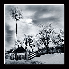 photo "Baroque"