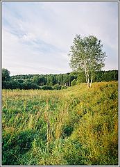 photo "August"