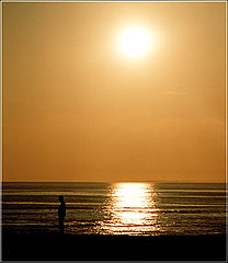 фото ""Sun Power""
