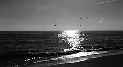 фото ""Sunny Winter""