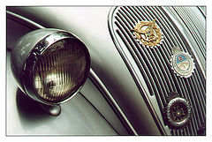 photo "Topolino"