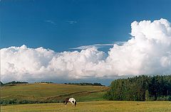 photo "Untitled photo"