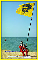 фото "Yellow flag"