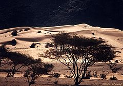 фото "Elba Mountain # 2"