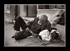 photo "Friends 3"