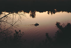 фото "Silence"