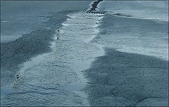 photo "water ways"