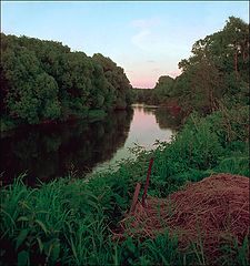 photo "Summer landscape with the river and..."