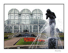 фото "Botanic garden"