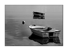 фото "quick"