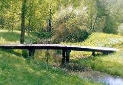 photo "Untitled photo"