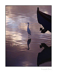 photo "Captain of the ship"