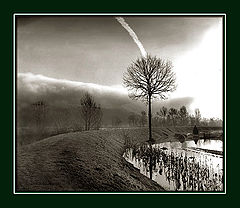 photo "Morning"