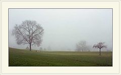photo "Foggy morning"