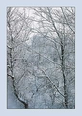 photo "Grafitty from window of my bedroom"