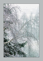 photo "Tale of winter"