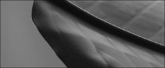 photo "leaf (b&w)"