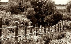 фото "Simanovo"