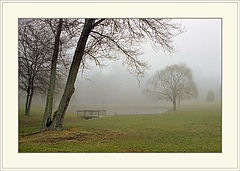 photo "Foggy morning  (Part 2)"