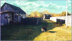 photo "It is good to have a small house in a village!"