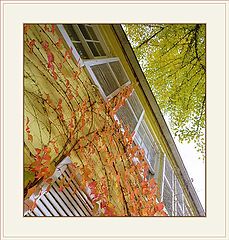 photo "Colors (III)"
