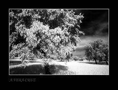 photo "Three different planes, three different tones"