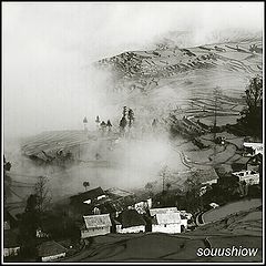 фото "cloud and mist"