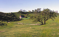 photo "Hav&auml;ng"