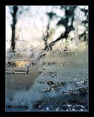 photo "Frost`s fresco"
