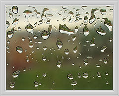 photo "After rain"