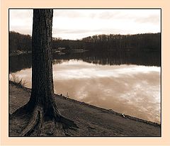 photo "Sunset"