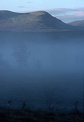 photo "Foggy Mountain"