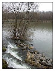 фото "Danube. Spring."