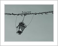 фото "Light Source"