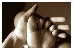 photo "Fingers"