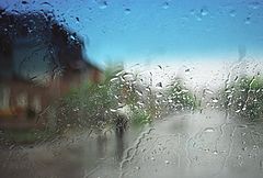 фото "Весна.., дожди..."