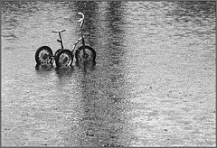 photo "Childhood memory"