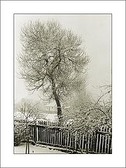 photo "Winter story"