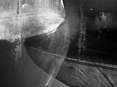 photo "Disposable (Plastic #4)"