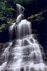 фото "chathedral falls"