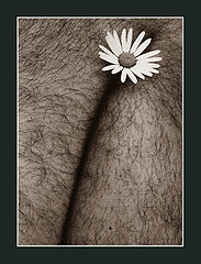фото "The Master and Margarita"