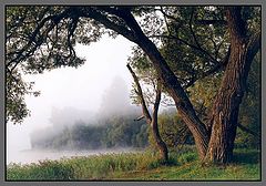 photo "Untitled photo"