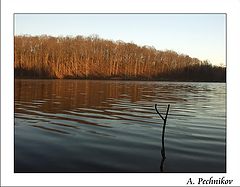 photo "Fishing"