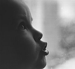photo "the portrait of a young man,who look to the airlin"