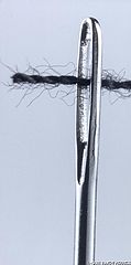 фото "needle and thread"