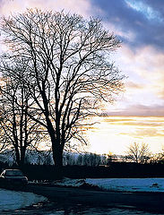 photo "Sunset`s rapsody"