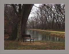 photo "Park, Rain and the Bench"