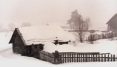 photo "Untitled photo"